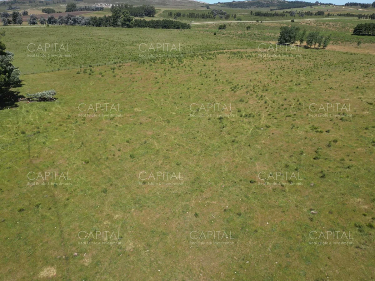 Campo en Maldonado, propiedad 277808 -Imagen 12