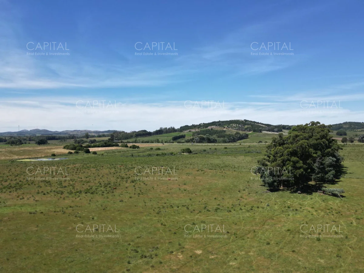Campo en Maldonado, propiedad 277808 -Imagen 13