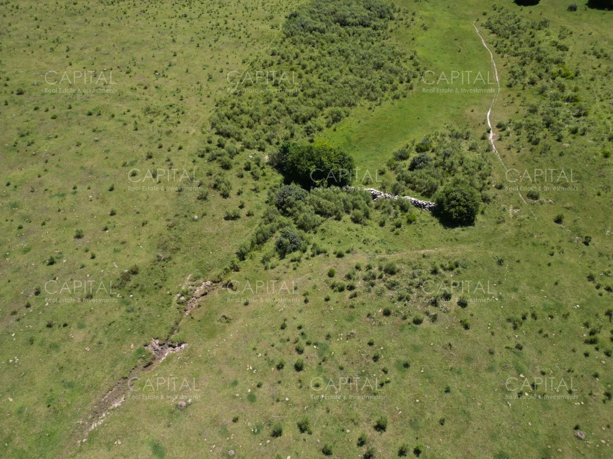 Campo en Maldonado, propiedad 277808 -Imagen 3