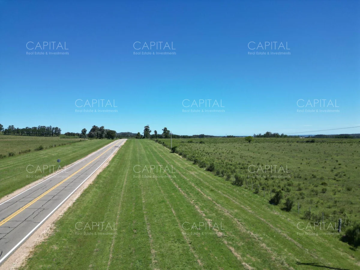 Campo en Maldonado, propiedad 277808 -Imagen 4