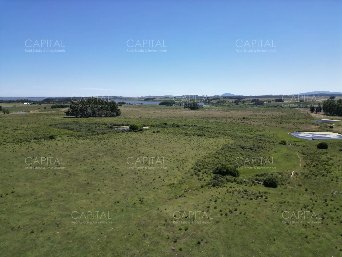 Campo en Maldonado, propiedad 277808 -Imagen 5