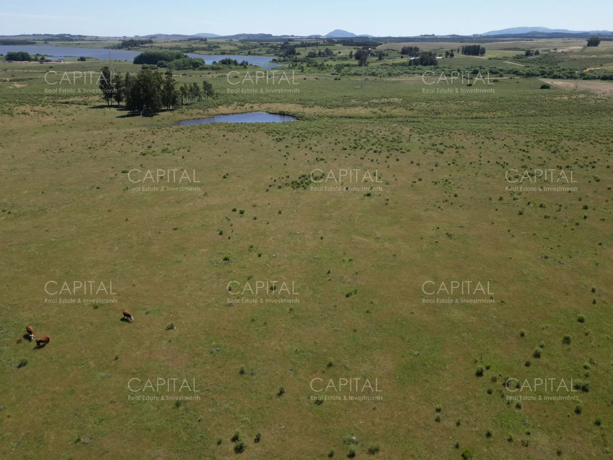 Campo en Maldonado, propiedad 277808 -Imagen 6