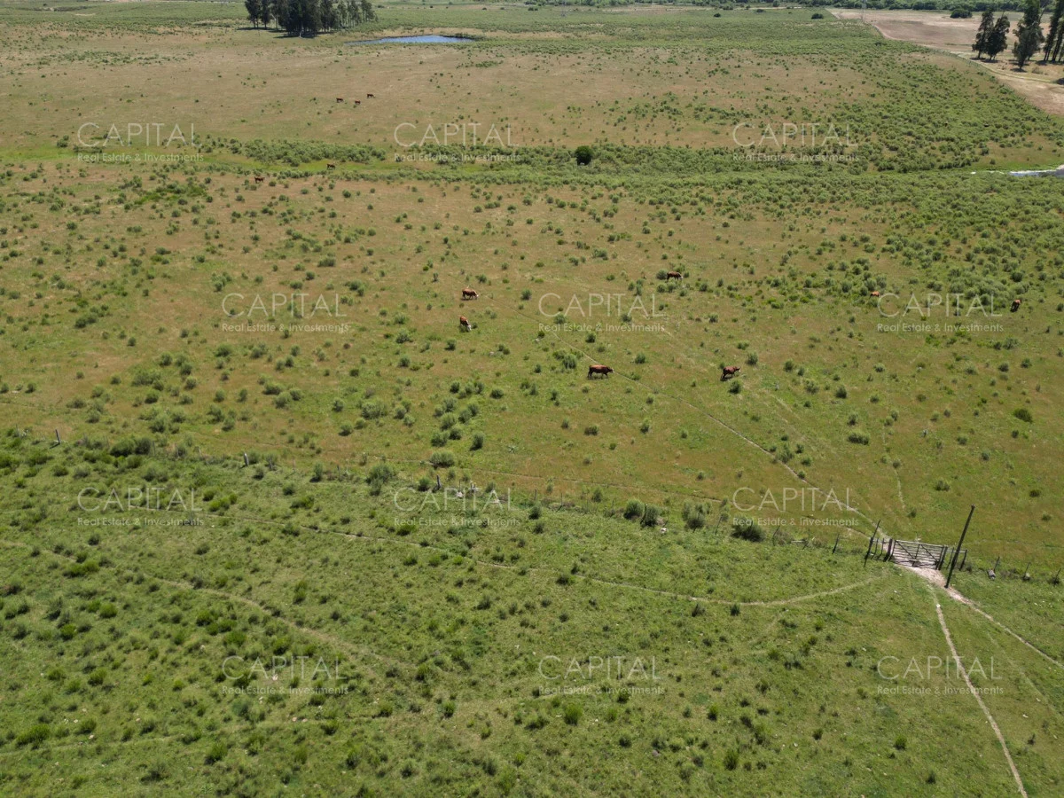 Campo en Maldonado, propiedad 277808 -Imagen 7