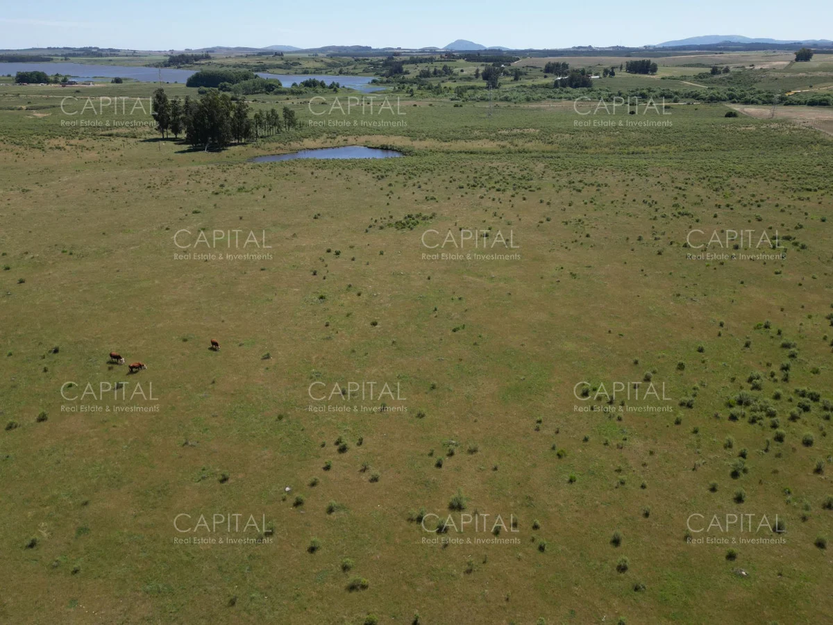 Campo en Maldonado, propiedad 277808 -Imagen 8