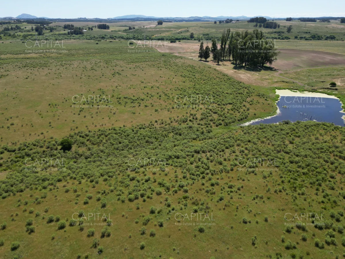 Campo en Maldonado, propiedad 277808 -Imagen 9