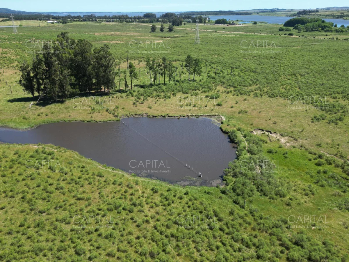 Campo en Maldonado, propiedad 277808 -Imagen 10