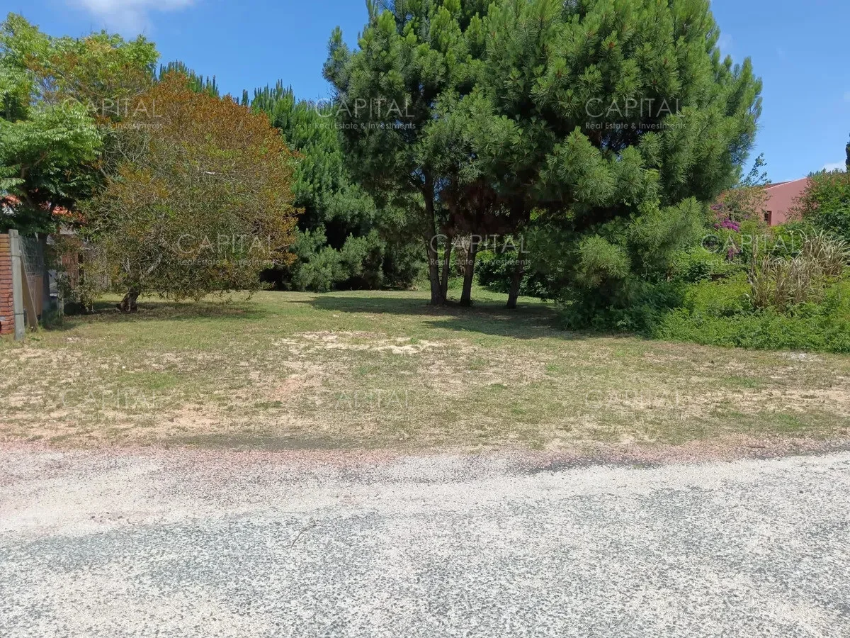 Terreno en Punta del Este, propiedad 277846 -Imagen 1