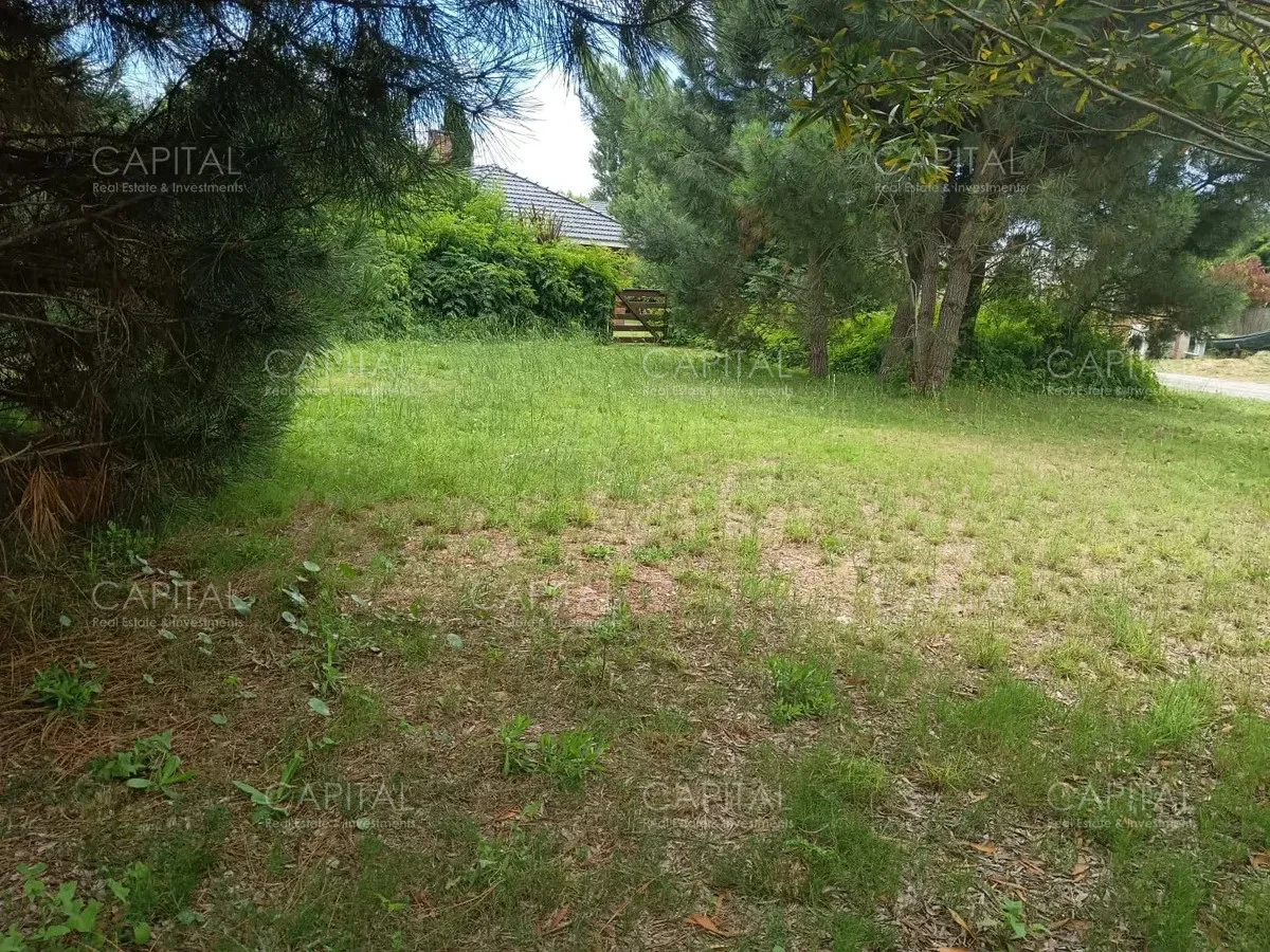 Terreno en Punta del Este, propiedad 277846 -Imagen 2