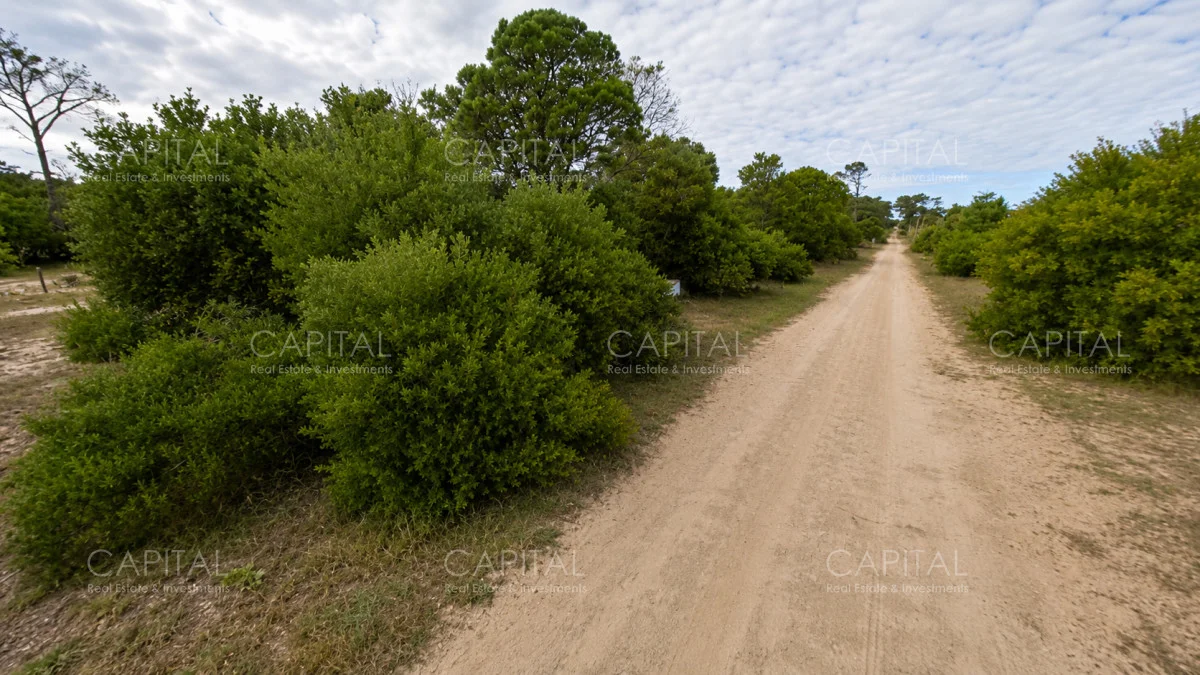Terreno en La Juanita, propiedad 277852 -Imagen 11