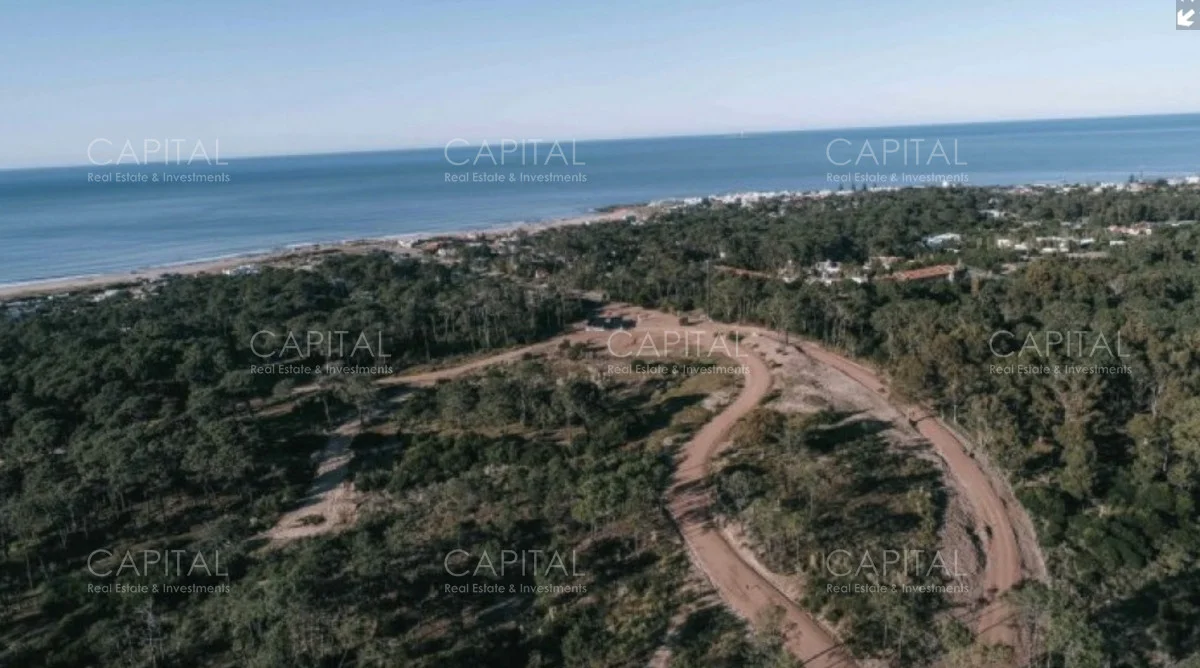 Terreno en Montoya, propiedad 277857 -Imagen 4