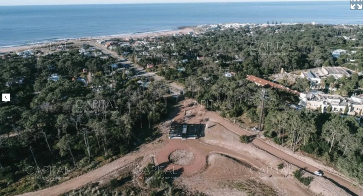 Terreno en Montoya, propiedad 277857 -Imagen 5