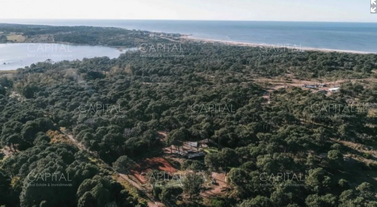 Terreno en Montoya, propiedad 277857 -Imagen 6