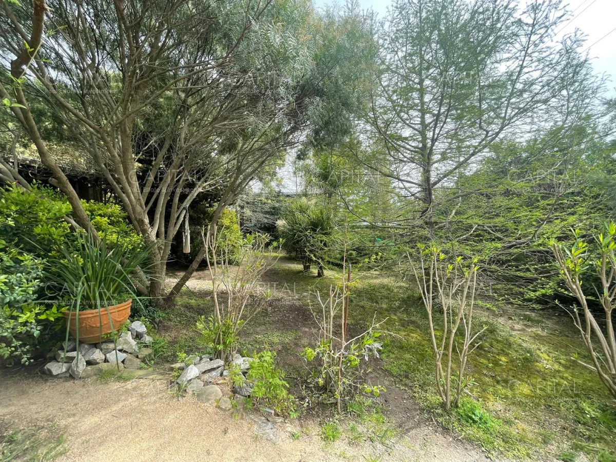 Casa en Balneario Buenos Aires, propiedad 277922 -Imagen 25
