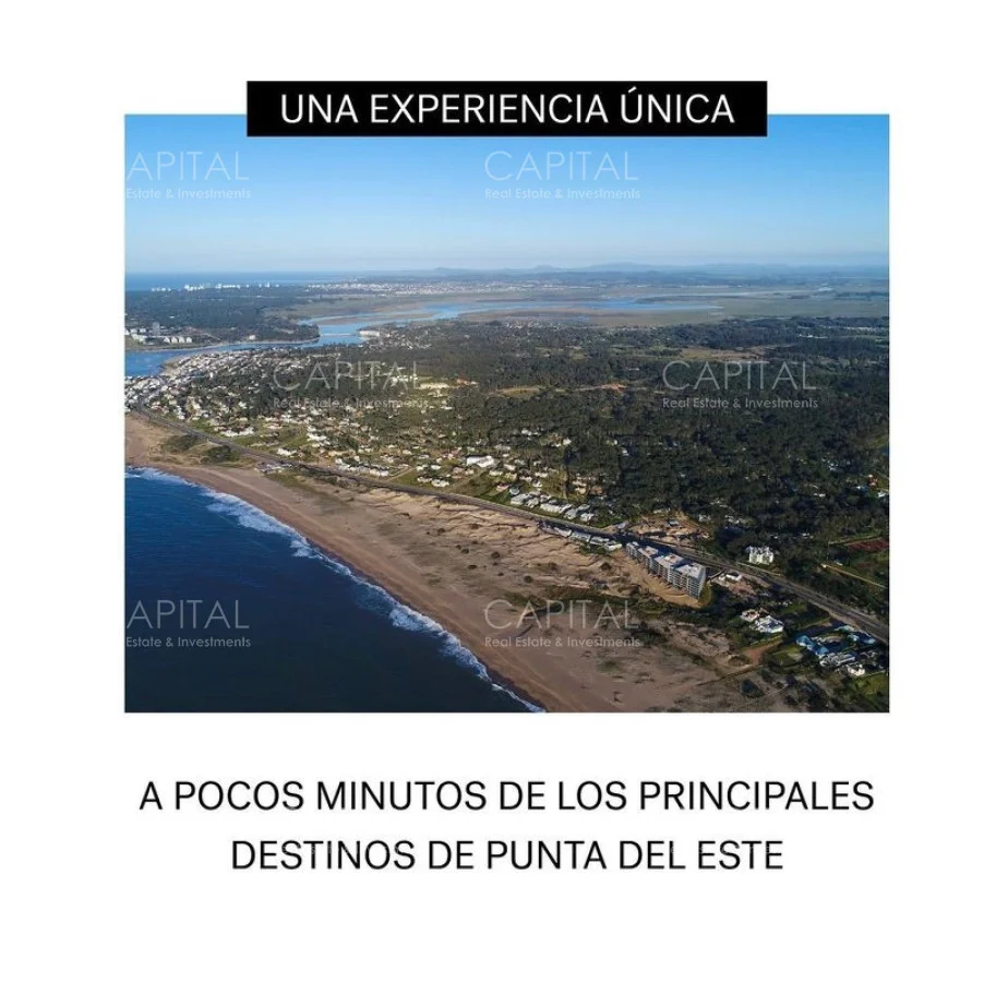 Terreno en Montoya, propiedad 277929 -Imagen 4