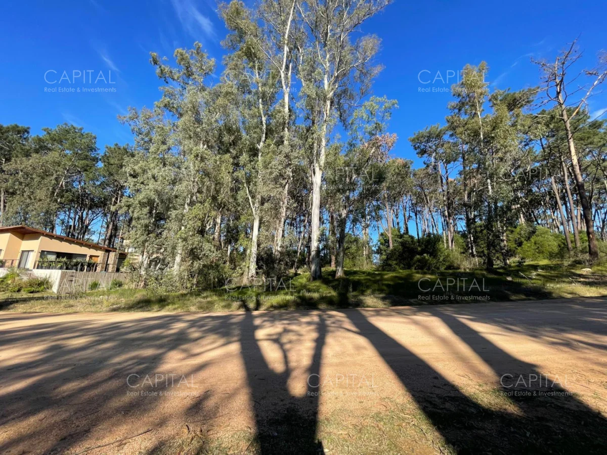 Terreno en Montoya, propiedad 277974 -Imagen 7