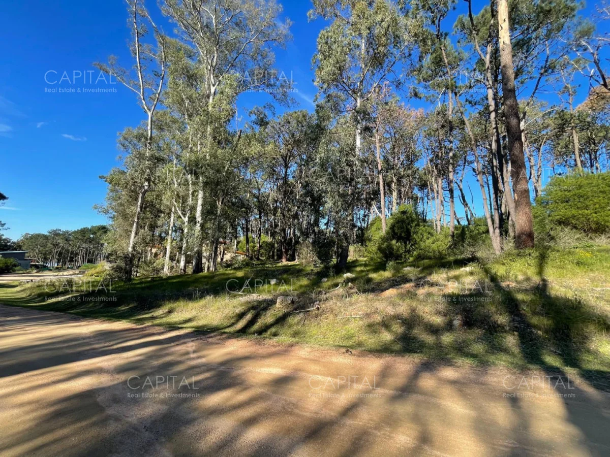 Terreno en Montoya, propiedad 277974 -Imagen 8