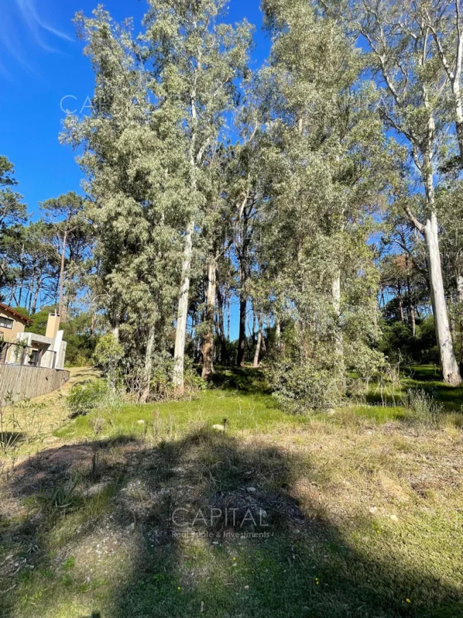 Terreno en Montoya, propiedad 277975 -Imagen 1