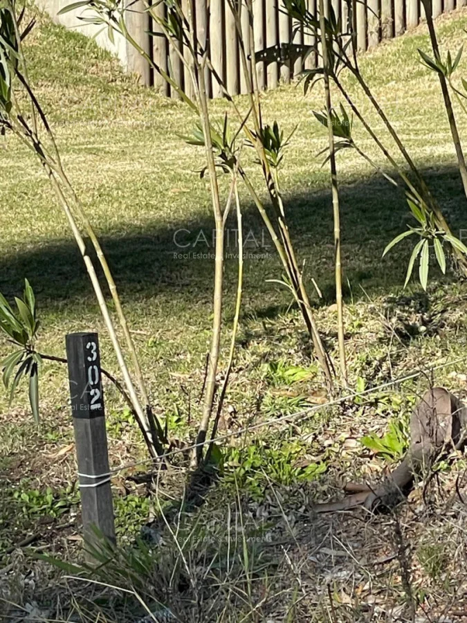 Terreno en Montoya, propiedad 277975 -Imagen 11