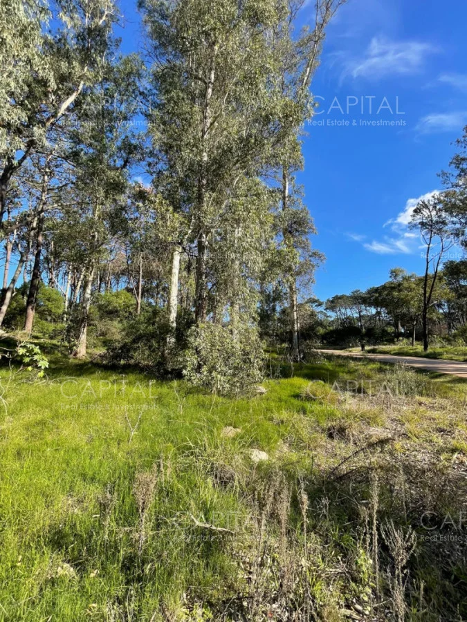 Terreno en Montoya, propiedad 277975 -Imagen 3
