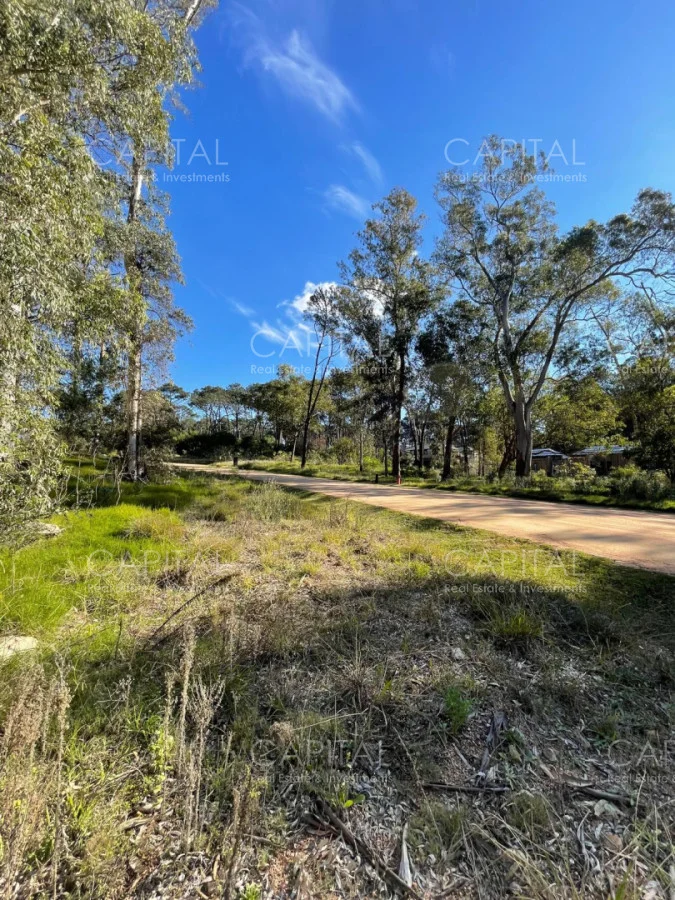 Terreno en Montoya, propiedad 277975 -Imagen 4