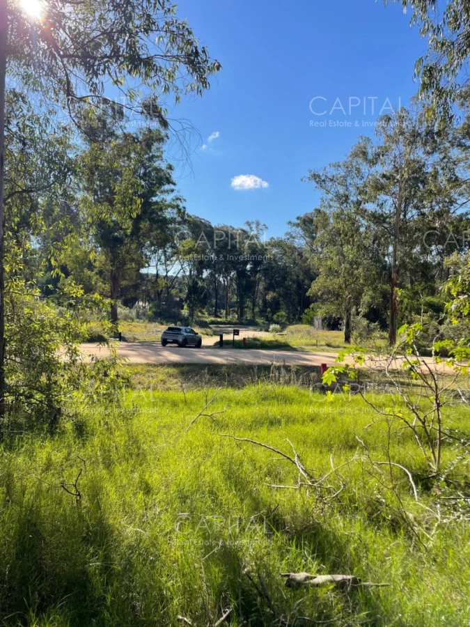 Terreno en Montoya, propiedad 277975 -Imagen 5