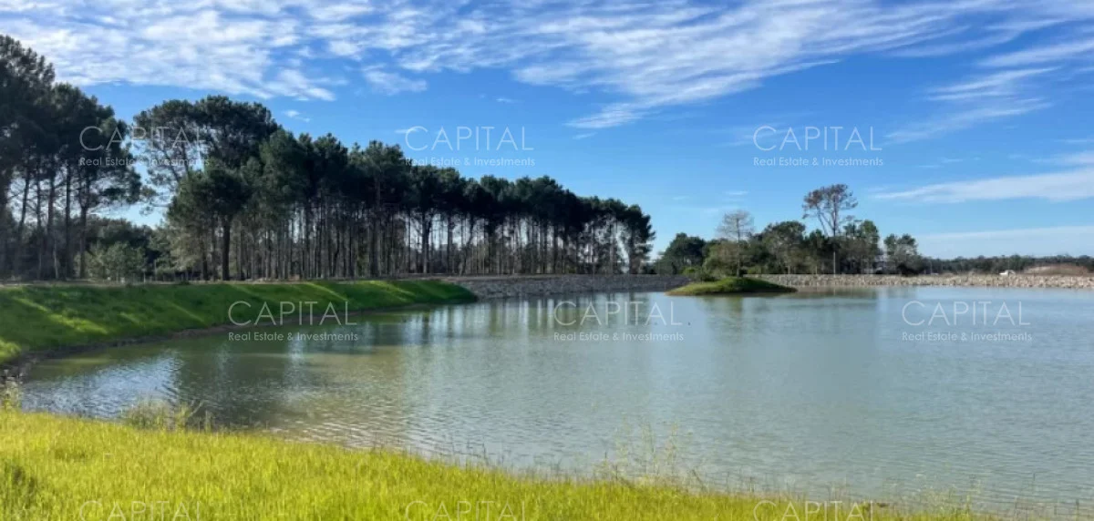 Terreno en Punta del Este, propiedad 277991 -Imagen 13