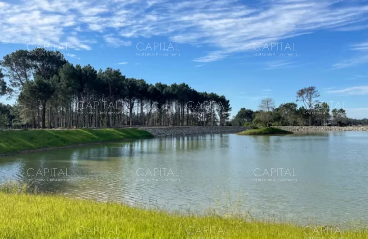 Terreno en Punta del Este, propiedad 277991 -Imagen 20