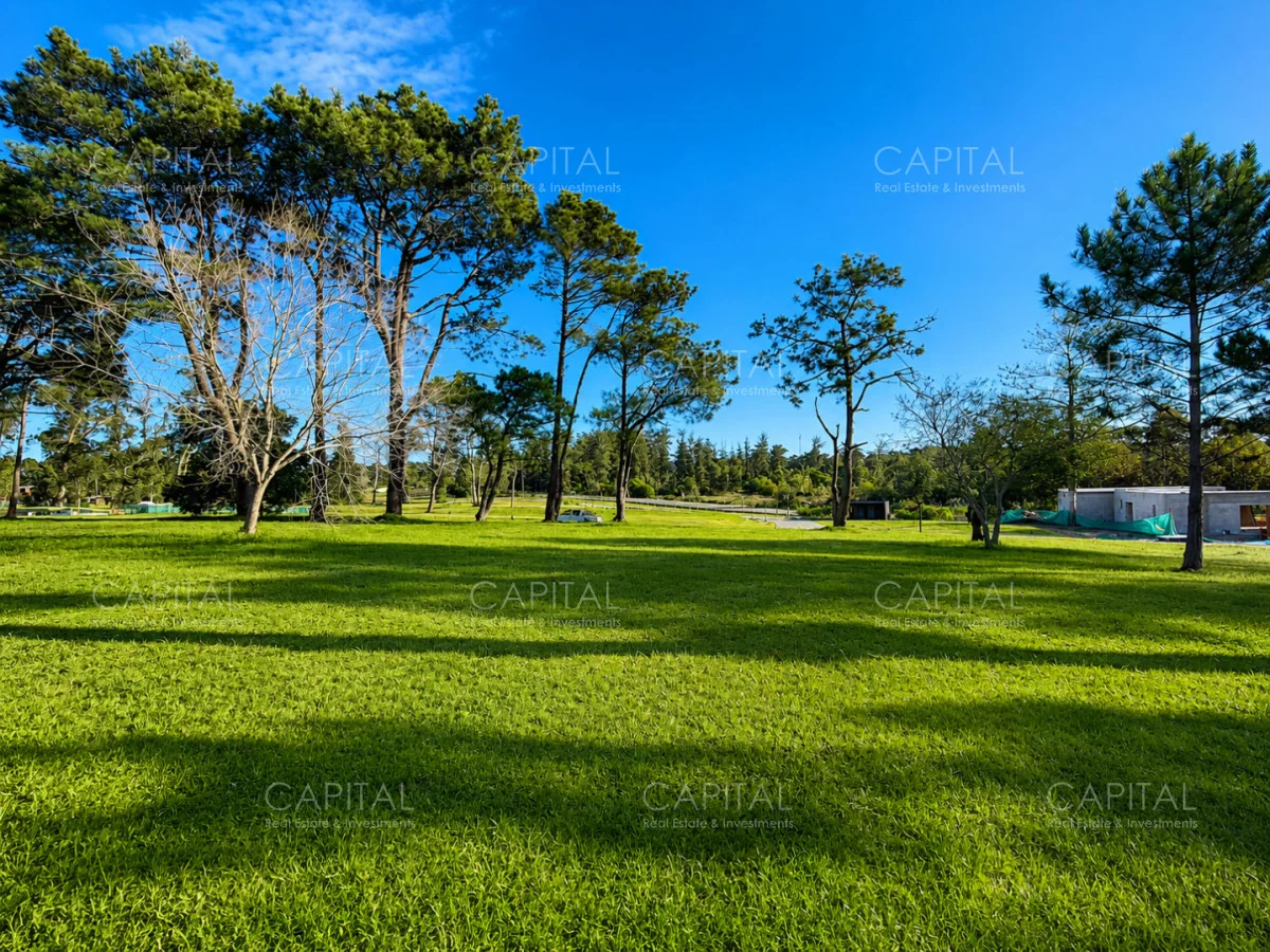Terreno en Punta del Este, propiedad 277991 -Imagen 5