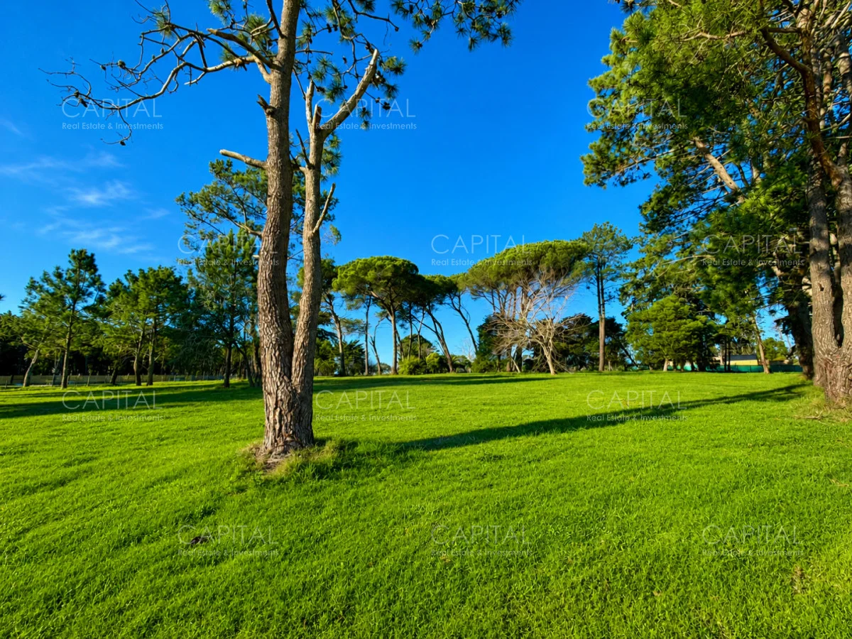 Terreno en Punta del Este, propiedad 277991 -Imagen 6