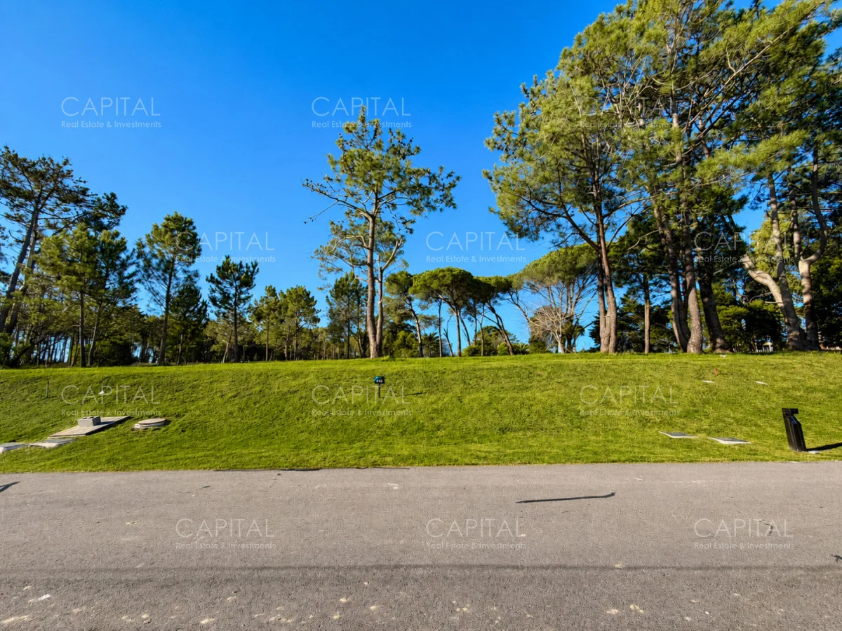 Terreno en Punta del Este, propiedad 277991 -Imagen 7