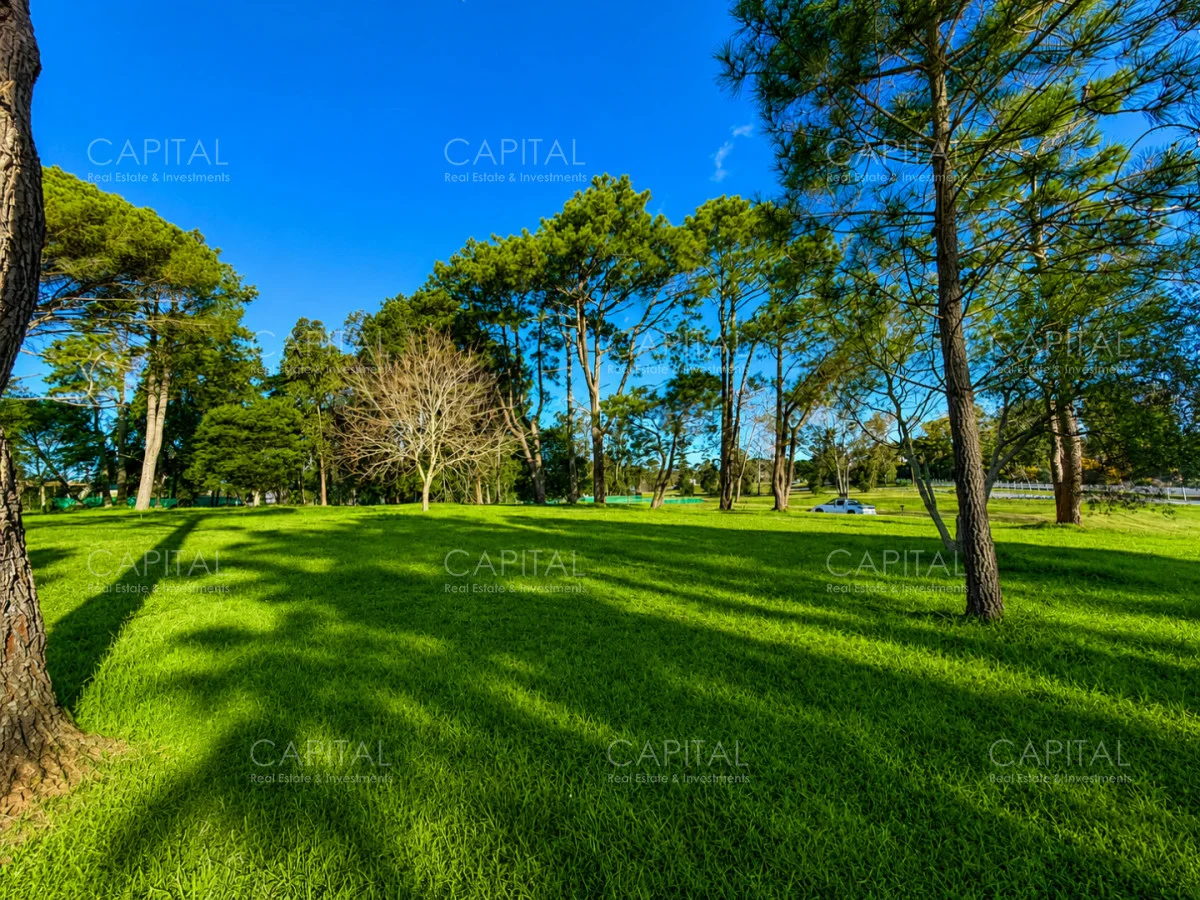 Terreno en Punta del Este, propiedad 277991 -Imagen 9
