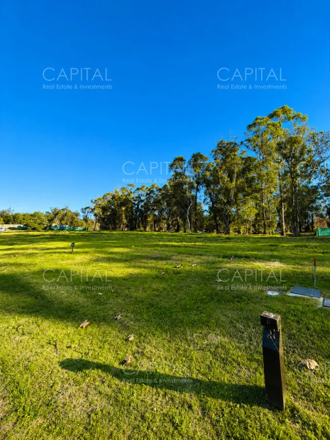 Terreno en Punta del Este, propiedad 277992 -Imagen 3