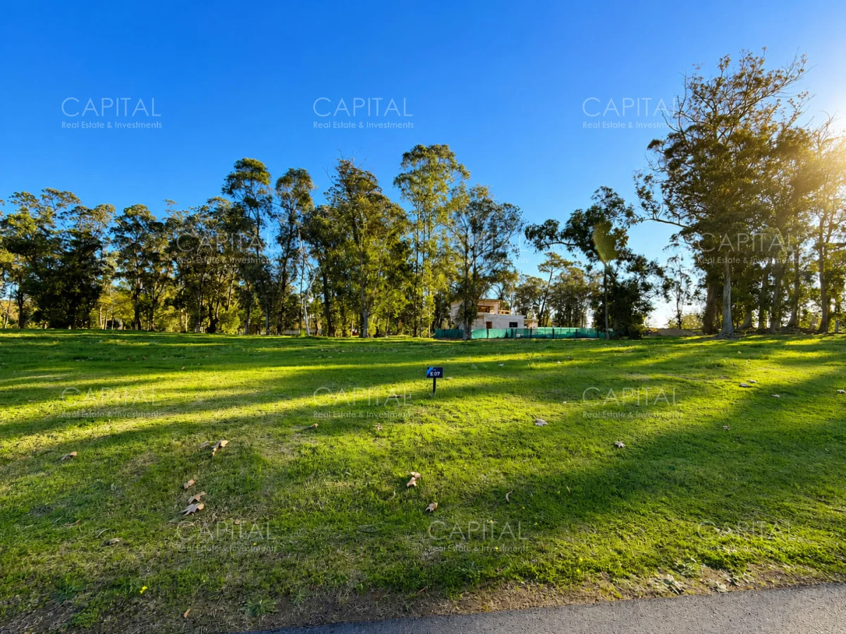 Terreno en Punta del Este, propiedad 277992 -Imagen 6