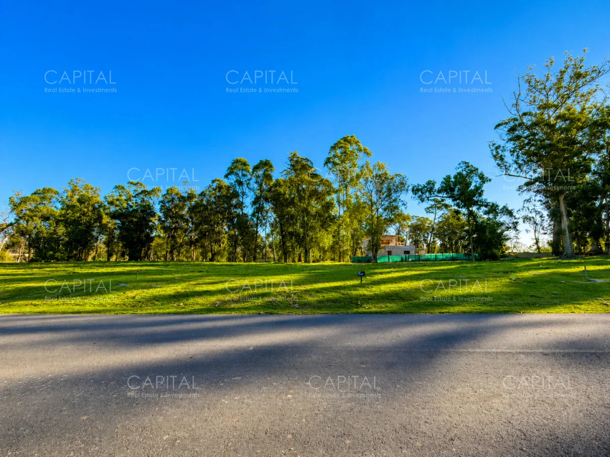 Terreno en Punta del Este, propiedad 277992 -Imagen 7