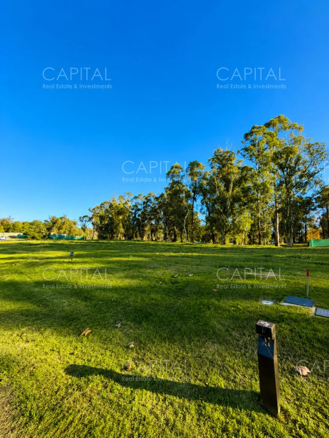Terreno en Punta del Este, propiedad 277992 -Imagen 9