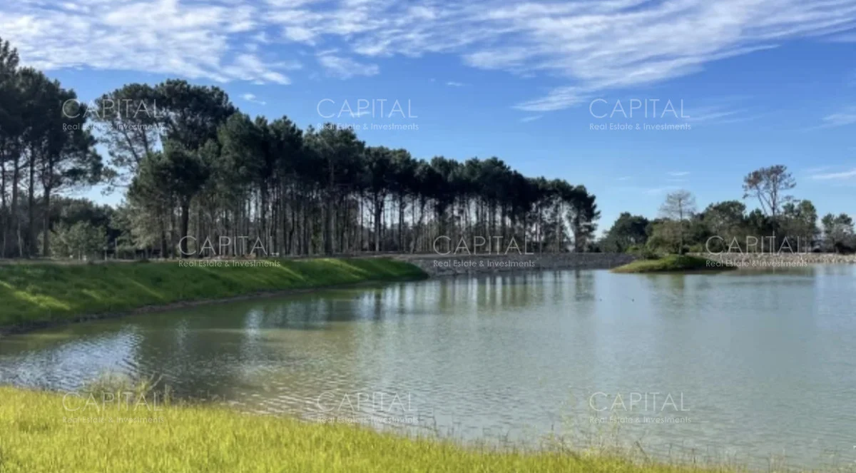 Terreno en Punta del Este, propiedad 278016 -Imagen 3