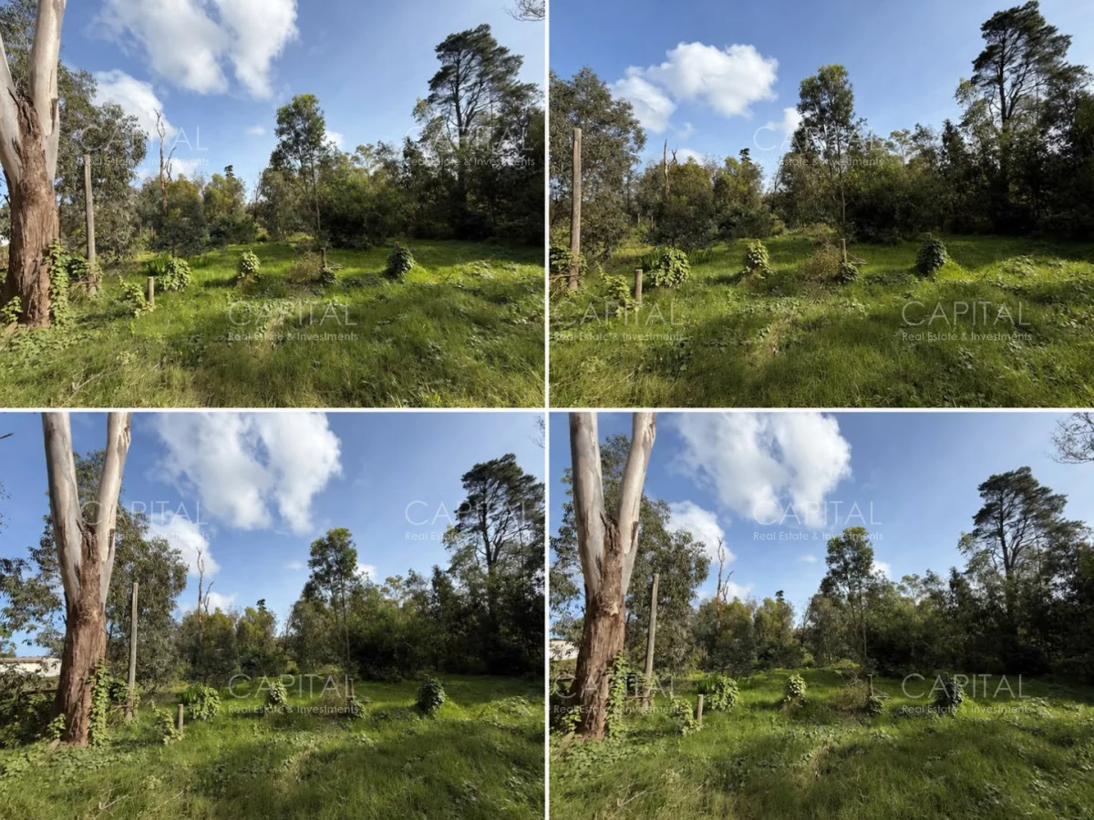 Terreno en La Barra, propiedad 278051 -Imagen 3