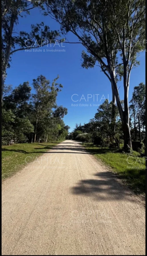 Terreno en La Barra, propiedad 278051 -Imagen 6