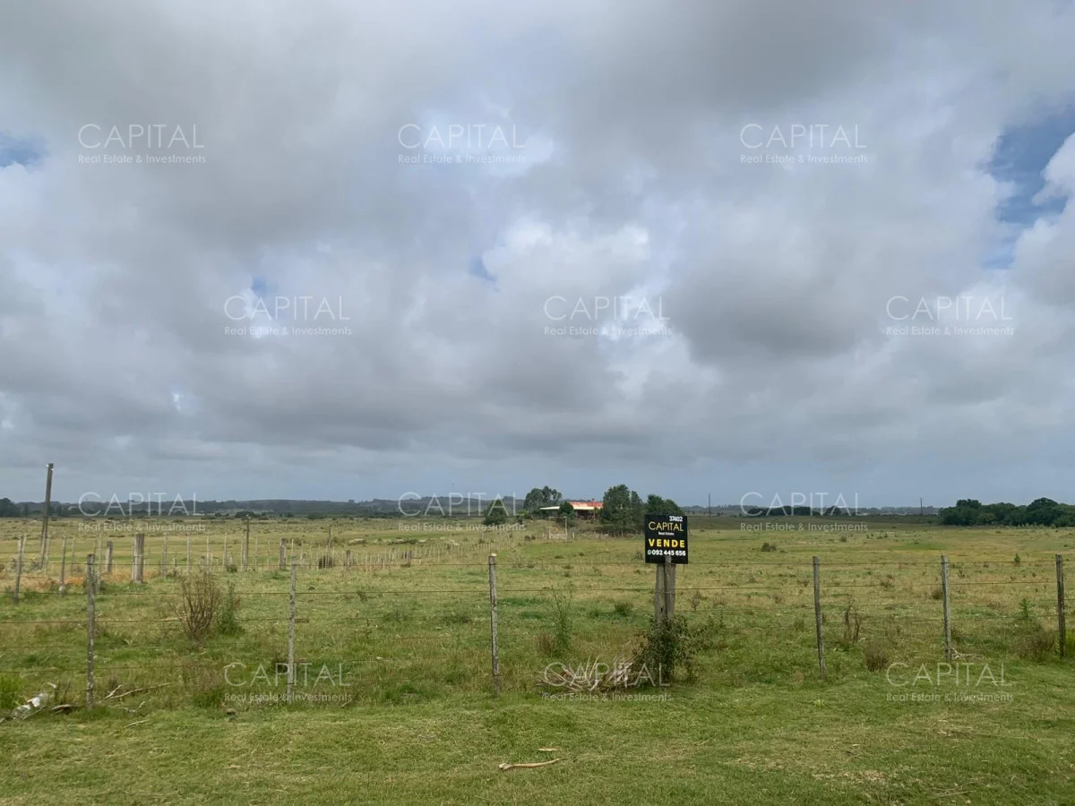Campo en Maldonado, propiedad 278071 -Imagen 1