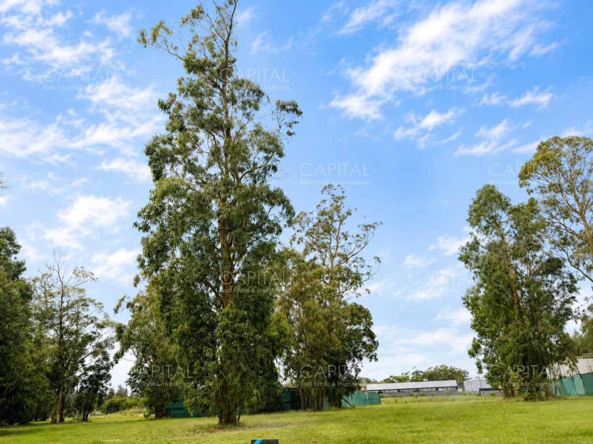 Terreno en Golf, propiedad 278136 -Imagen 3