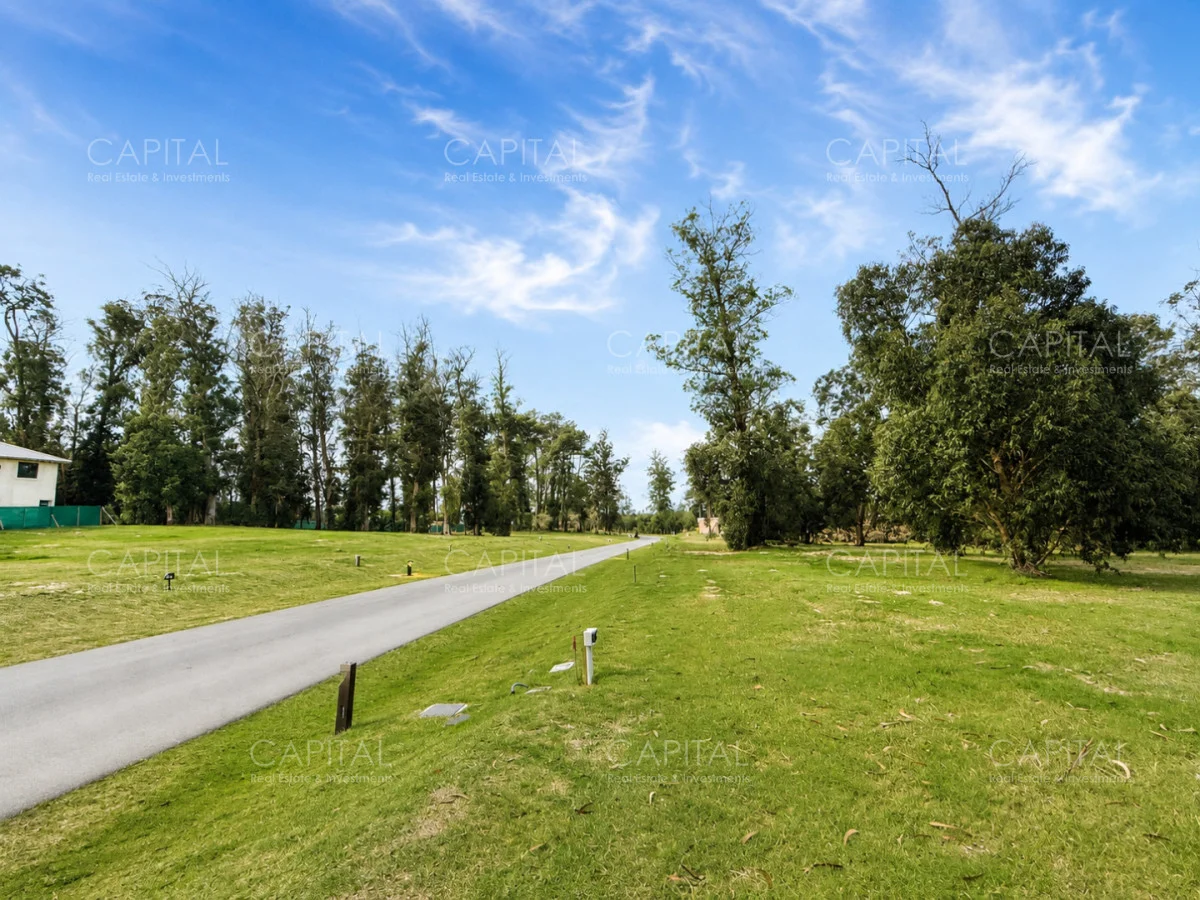 Terreno en Golf, propiedad 278136 -Imagen 5