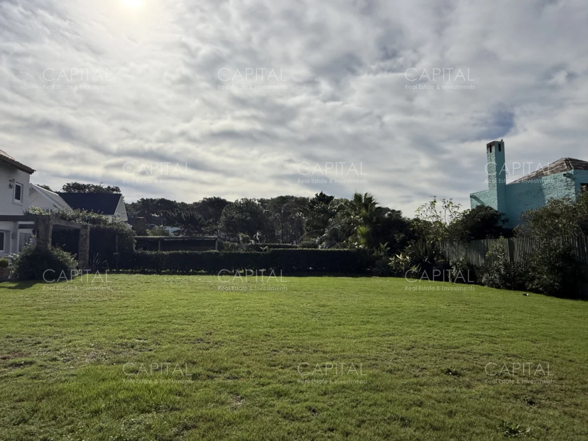 Terreno en Montoya, propiedad 278180 -Imagen 4