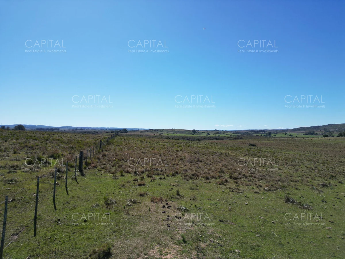 Chacra en San Carlos, propiedad 278205 -Imagen 3