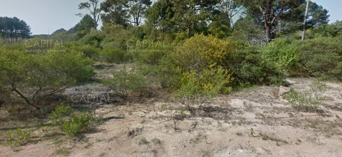 Terreno en Chihuahua, propiedad 278209 -Imagen 2