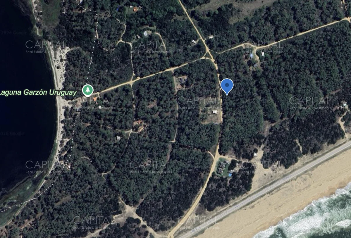 Terreno en Laguna Garzon, propiedad 278213 -Imagen 2