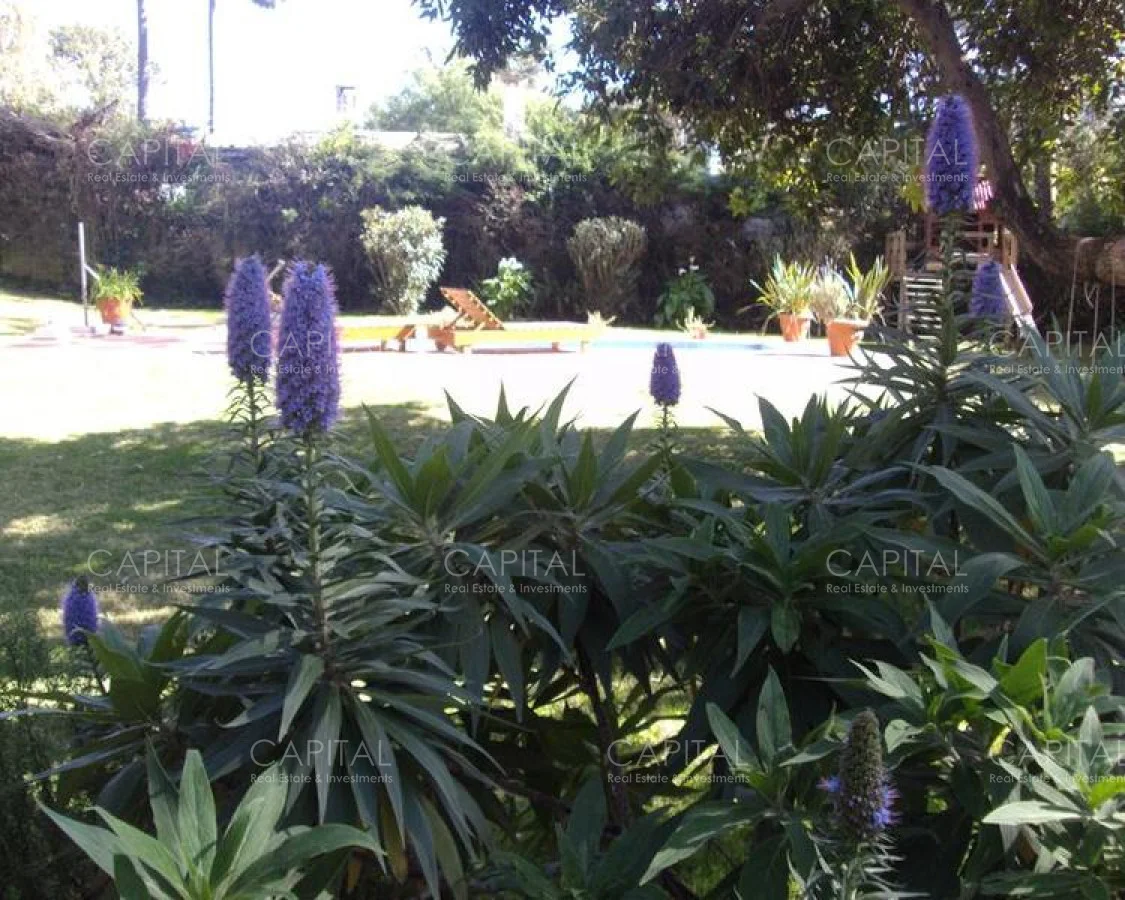 Casa en San Rafael, propiedad 278261 -Imagen 16