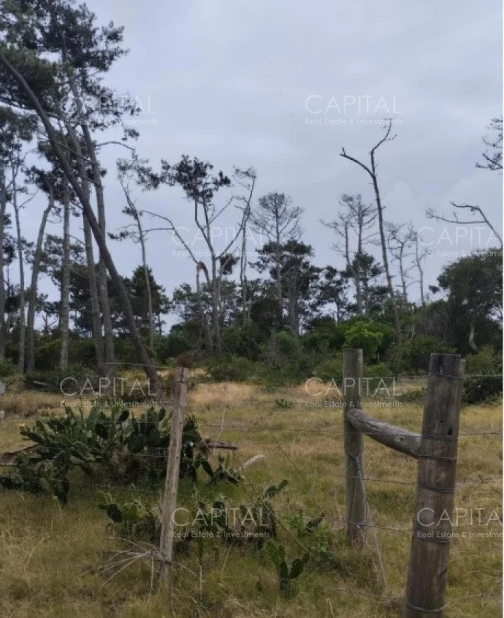Terreno en El Caracol, propiedad 278284 -Imagen 3