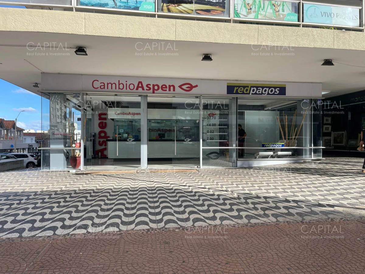 Local en Península, propiedad 278296 -Imagen 1