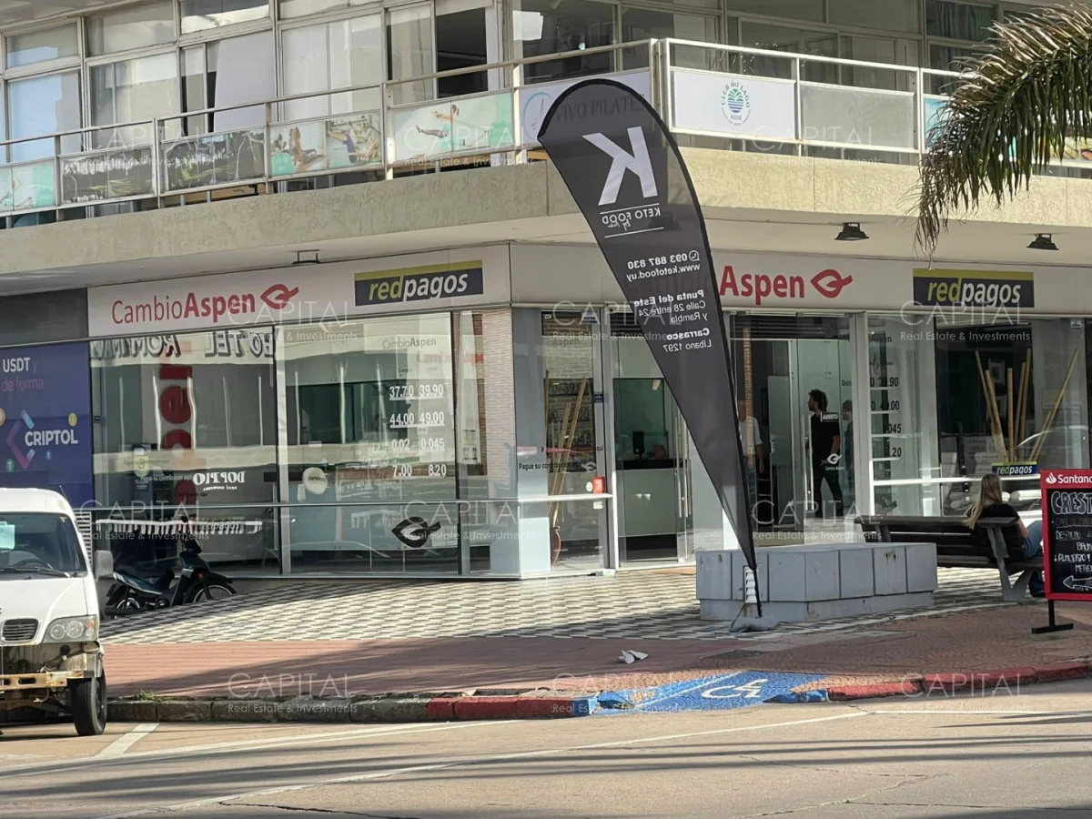 Local en Península, propiedad 278296 -Imagen 3