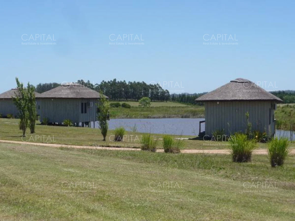 Terreno en Manantiales, propiedad 278299 -Imagen 5